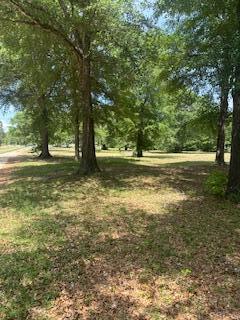 1029 Horseshoe Road Augusta, GA 30906 - Photo 2 of 15 IMG_8638