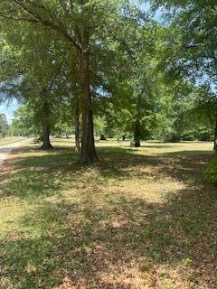 1029 Horseshoe Road Augusta, GA 30906 - Photo 3 of 15 IMG_8639