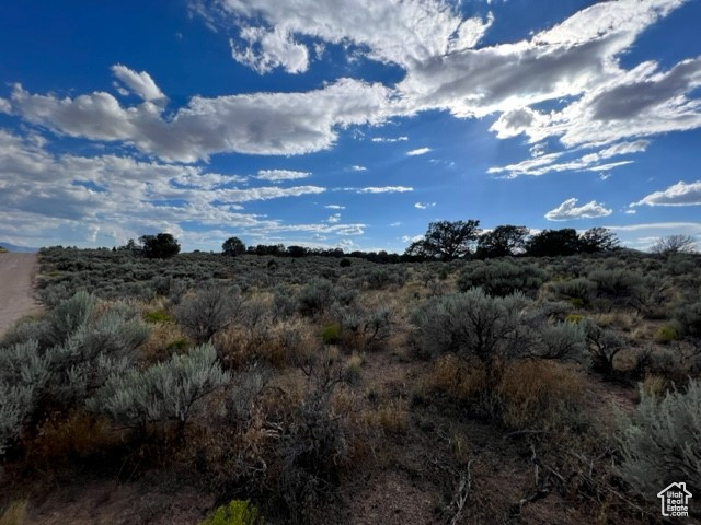 4200 West Cedar City, UT 84721 - Photo 2 of 3 View of local wilderness