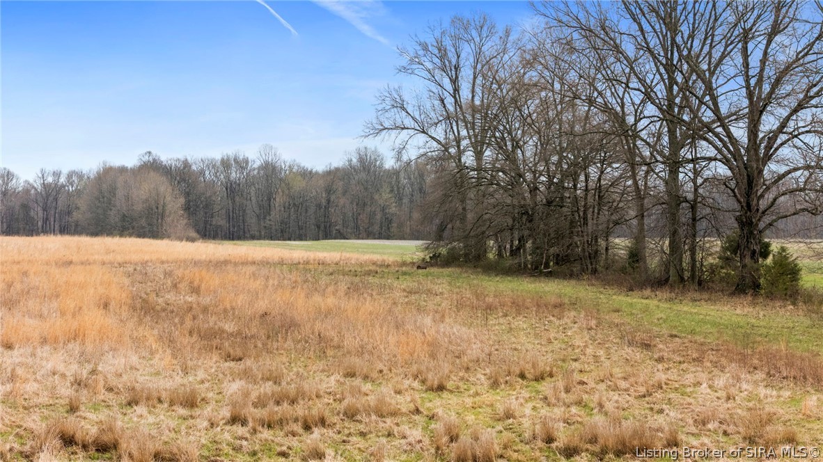 10540 Highway 421 Madison, IN 47250 - Photo 33 of 42