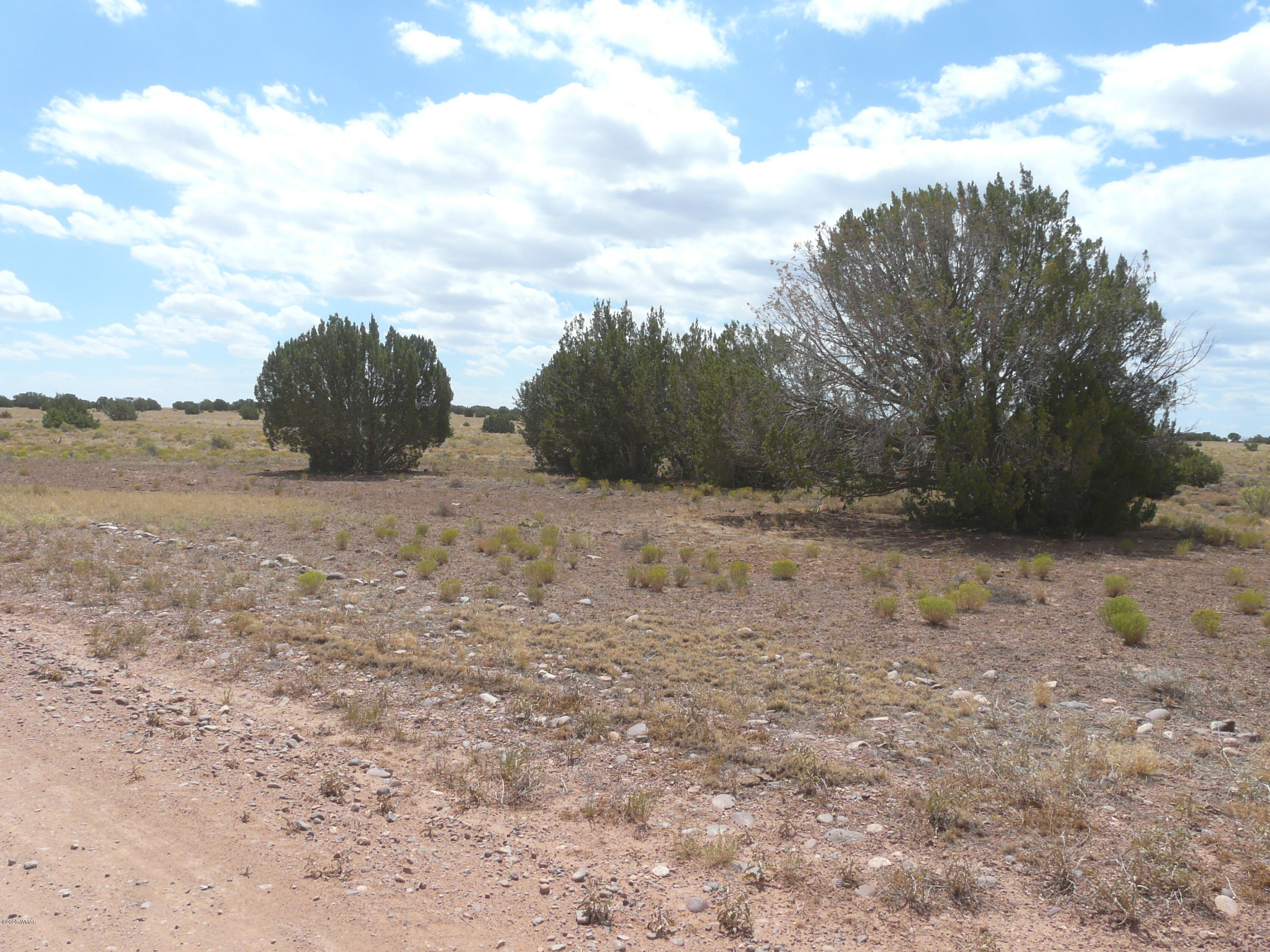 5611 Pasture Gap Road, Unit 1 Heber, AZ 85928 - Photo 11 of 14
