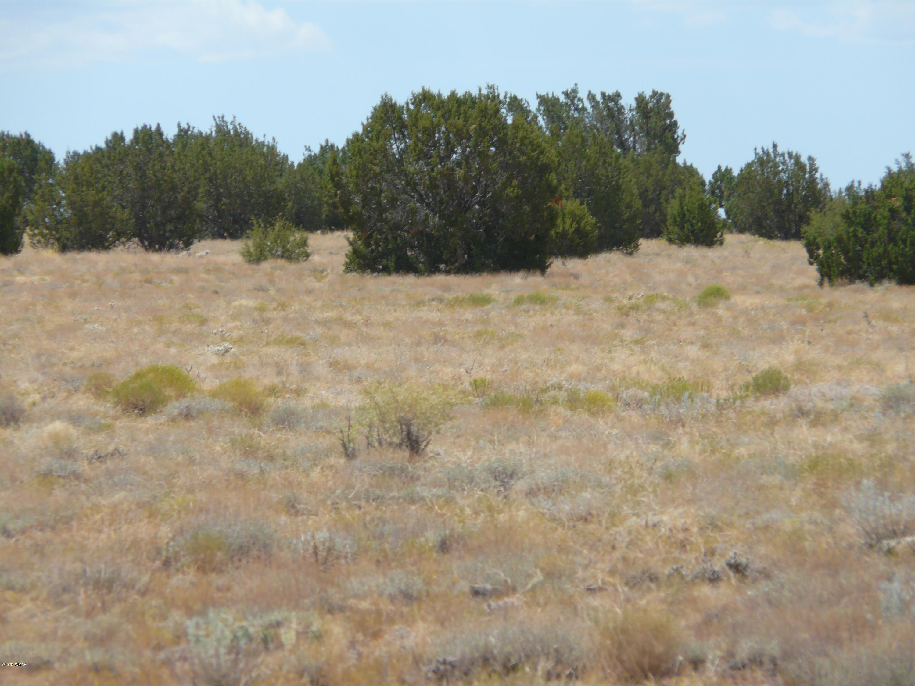 5611 Pasture Gap Road, Unit 1 Heber, AZ 85928 - Photo 14 of 14