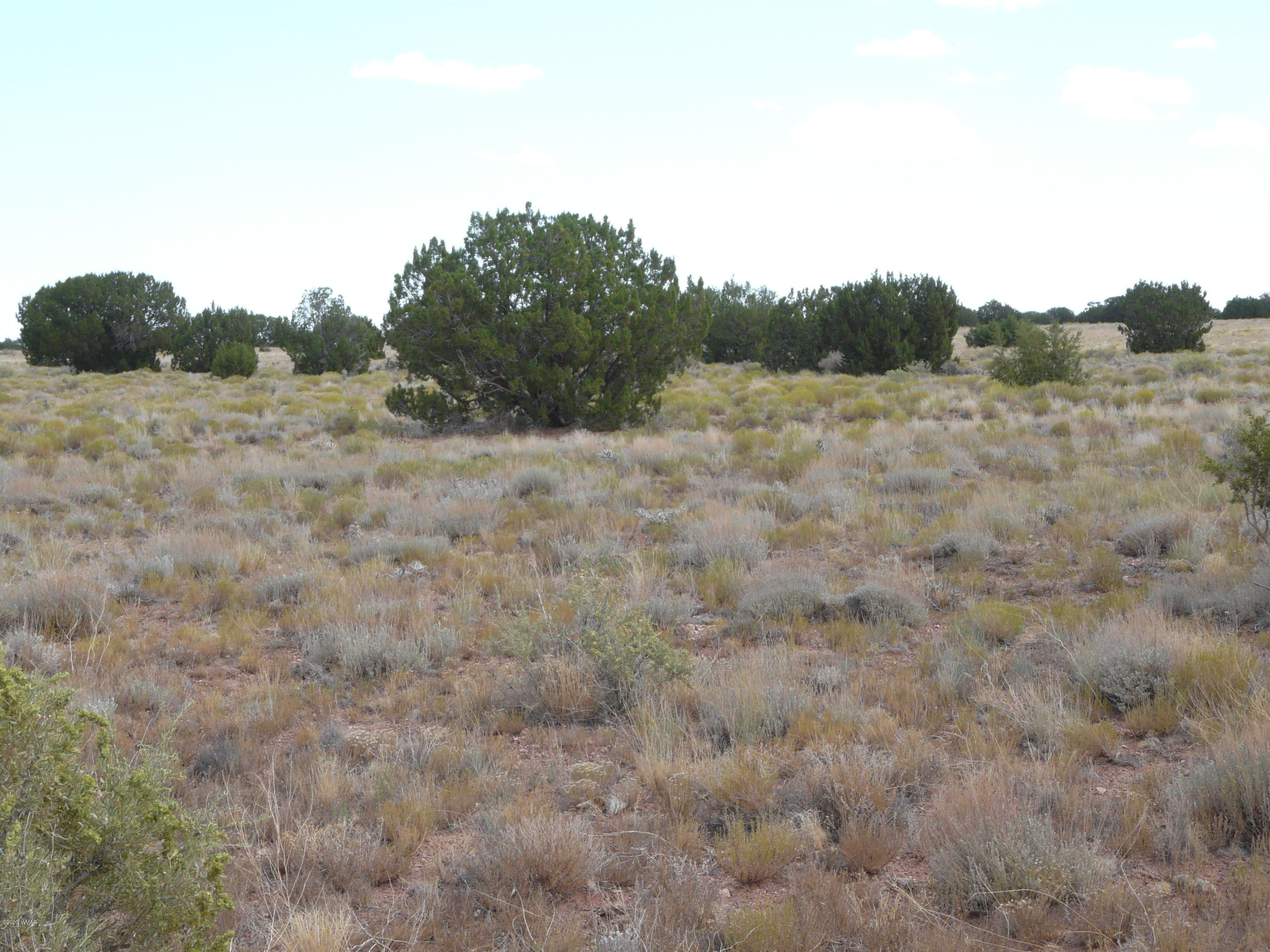 5611 Pasture Gap Road, Unit 1 Heber, AZ 85928 - Photo 2 of 14