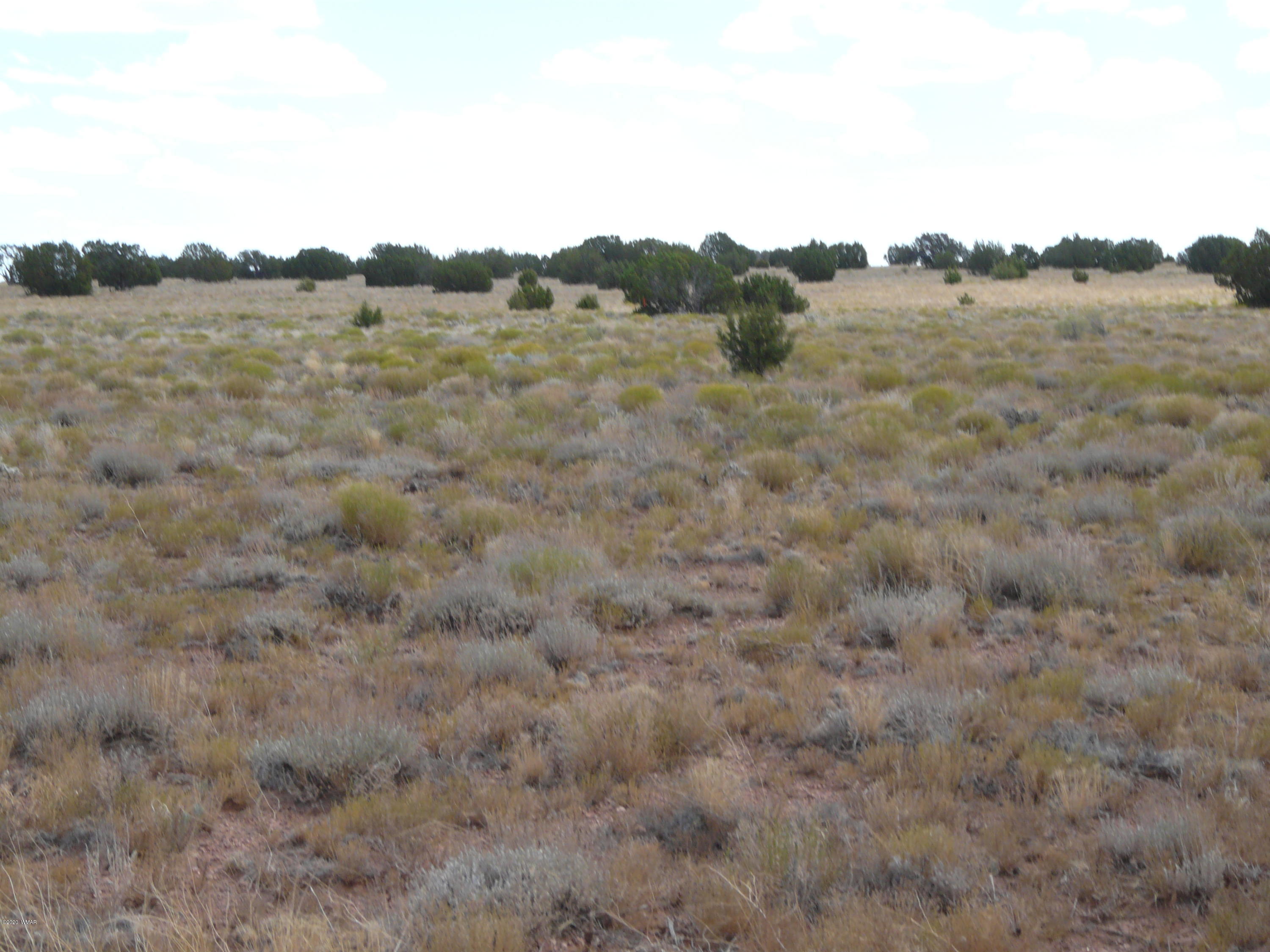 5611 Pasture Gap Road, Unit 1 Heber, AZ 85928 - Photo 3 of 14