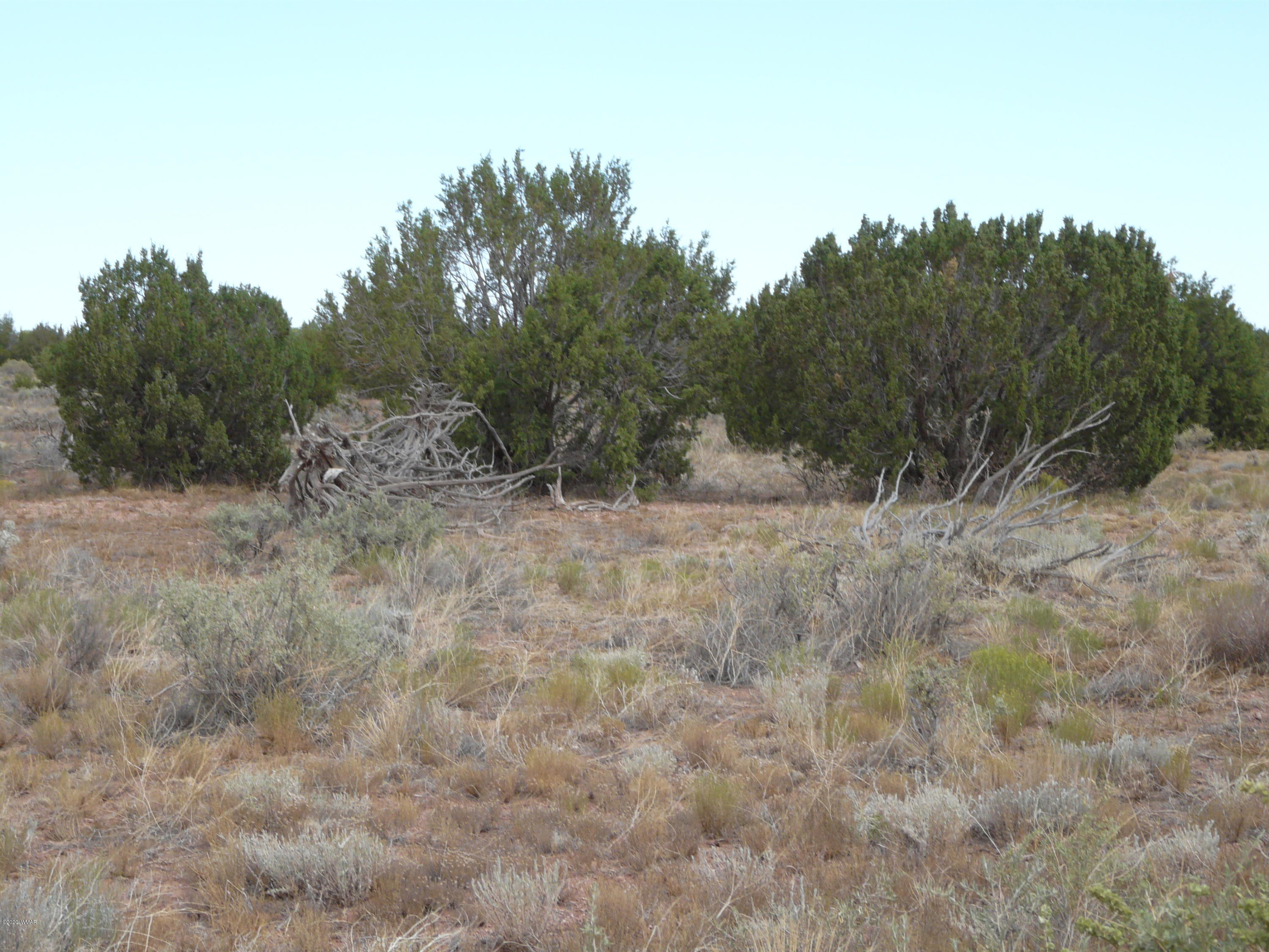 5611 Pasture Gap Road, Unit 1 Heber, AZ 85928 - Photo 5 of 14