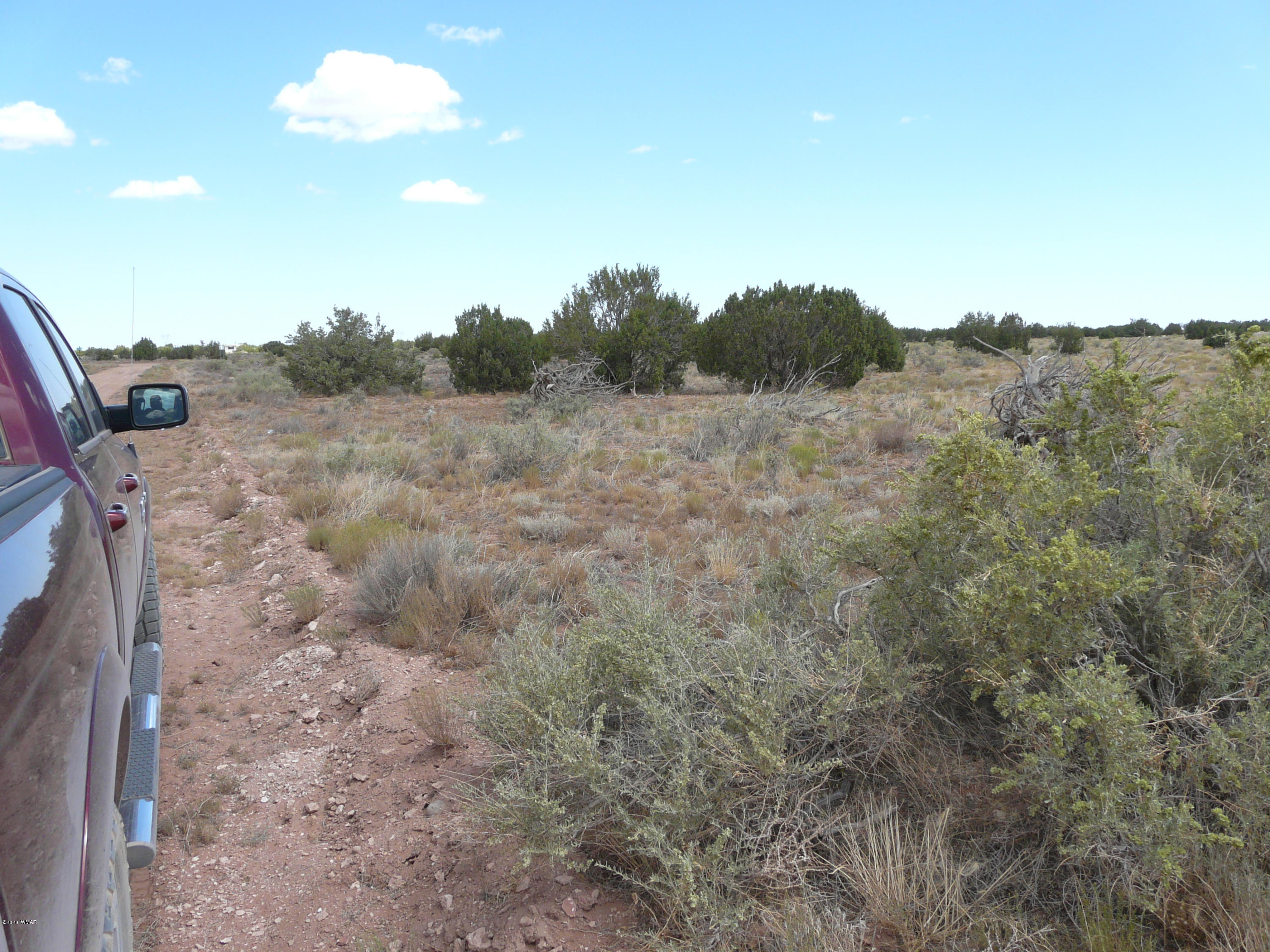 5611 Pasture Gap Road, Unit 1 Heber, AZ 85928 - Photo 6 of 14