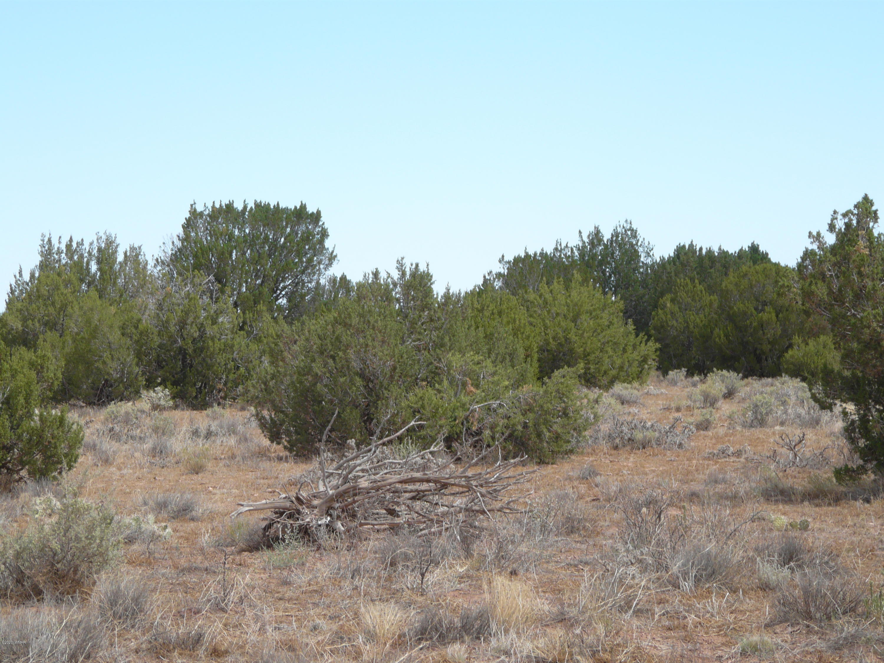 5611 Pasture Gap Road, Unit 1 Heber, AZ 85928 - Photo 8 of 14