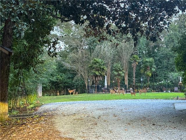 71130 Riverside Drive Covington, LA 70433 - Photo 56 of 60
