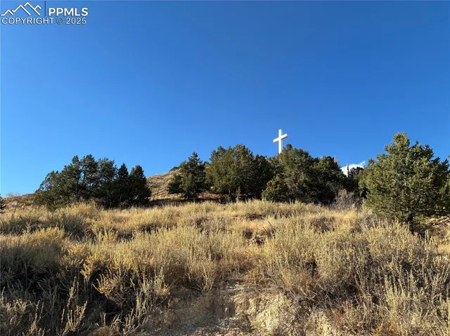 a view of a dry yard with a tree