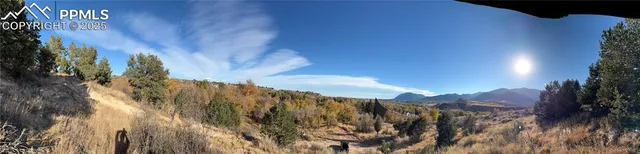 a view of a yard with a tree