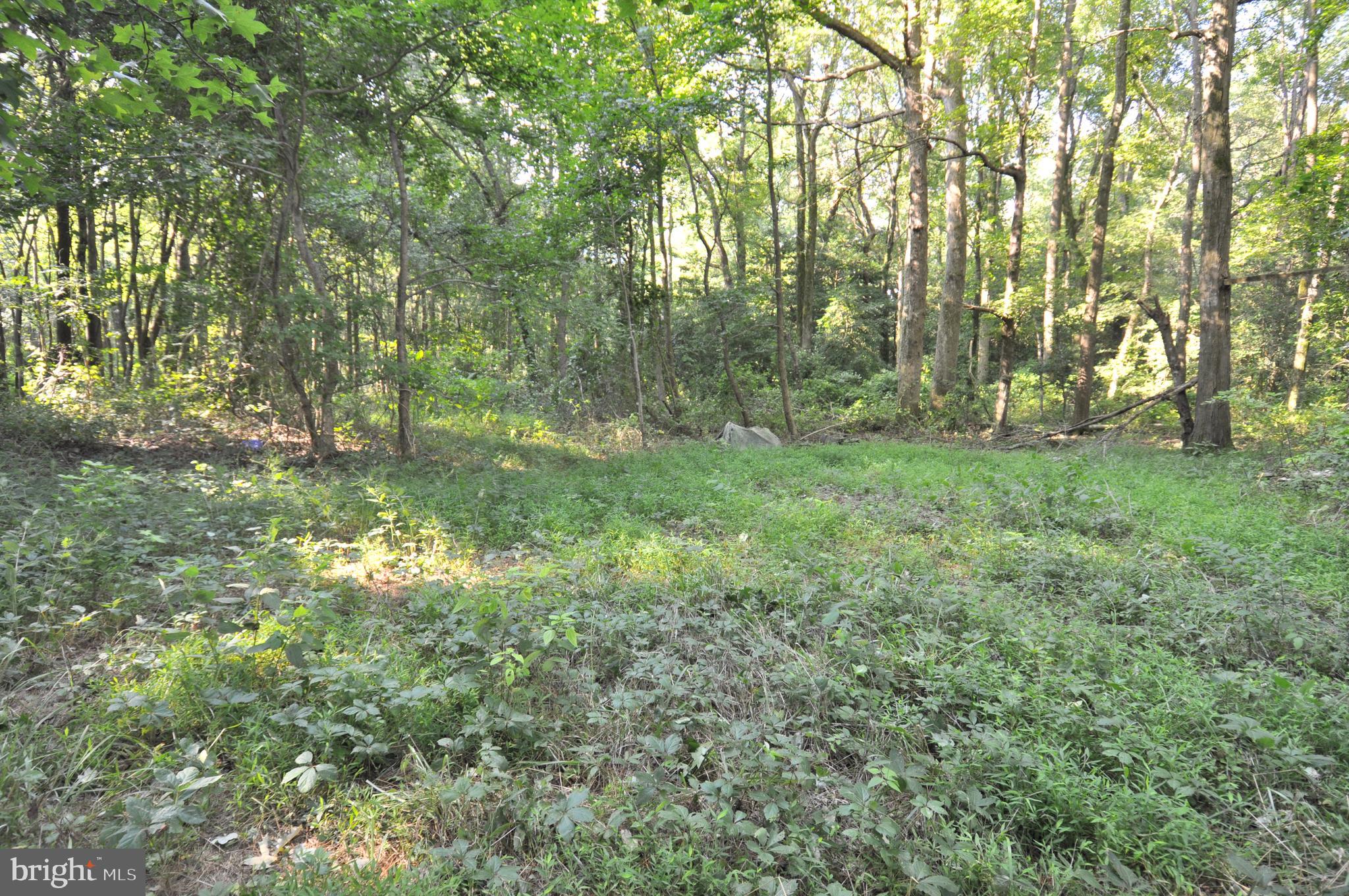 0 Brantley Road Pocomoke City, MD 21851 - Photo 9 of 15 Gallery Image 9