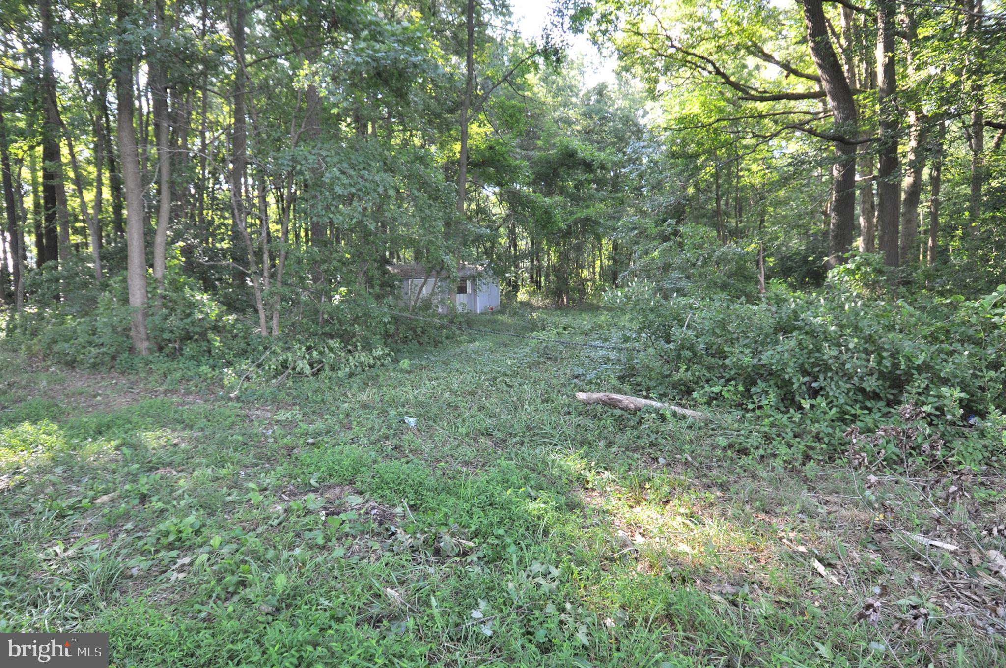 0 Brantley Road Pocomoke City, MD 21851 - Photo 10 of 15 Gallery Image 10