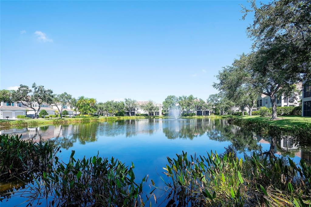 5264 Bouchard Circle, Unit 102 Sarasota, FL 34238 - Photo 23 of 32 a body of water with a tree in the background