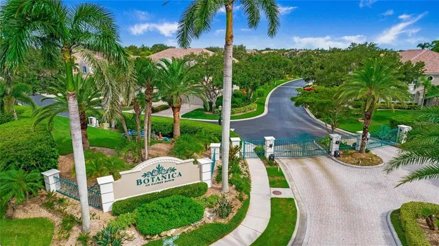 a view of a garden with plants