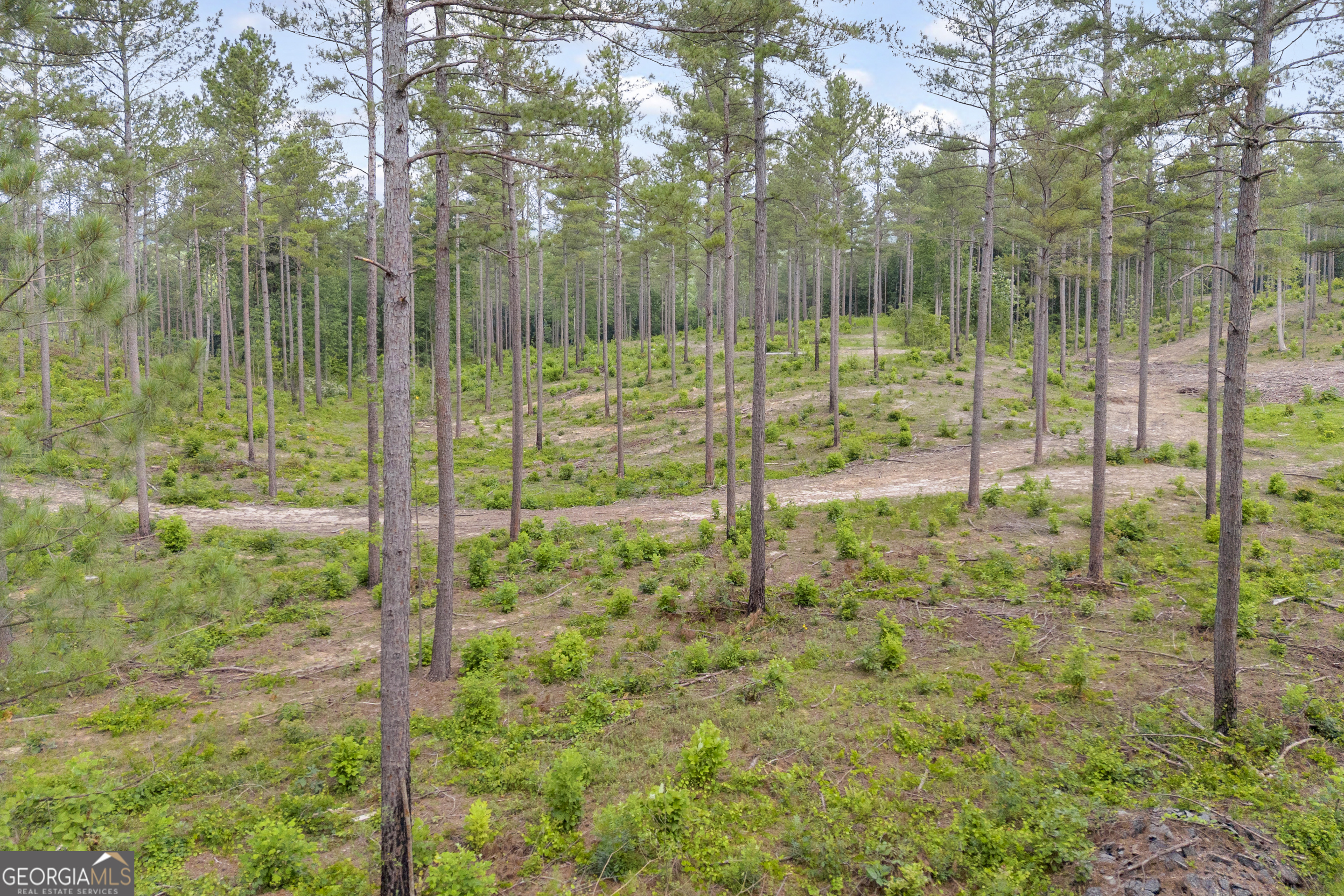 0 Mt Sinai Road, Unit LOT 1 Lula, GA 30554 - Photo 7 of 67