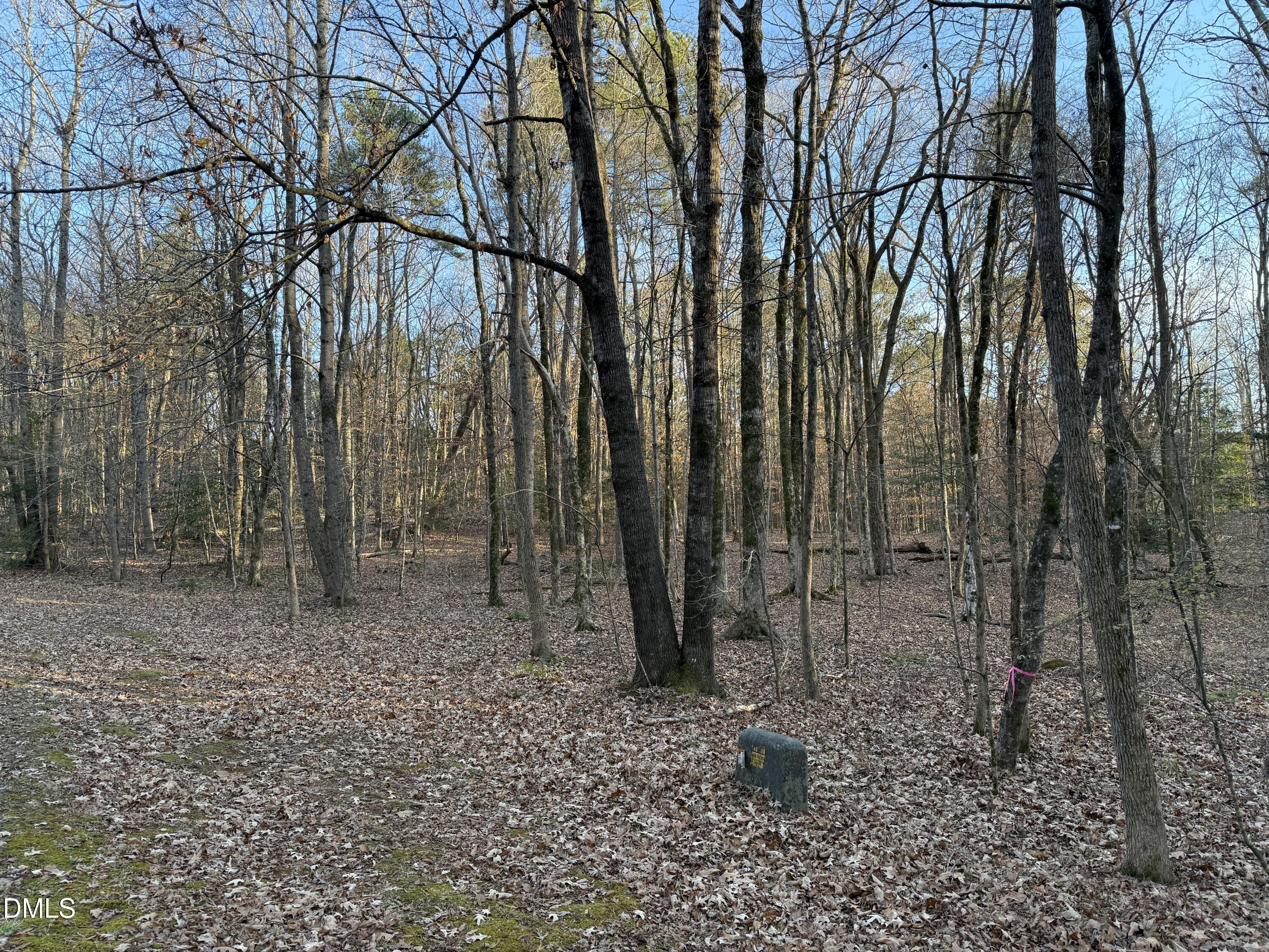 0 Woodland Road Littleton, NC 27850 - Photo 10 of 11 a backyard of a house with lots of green space