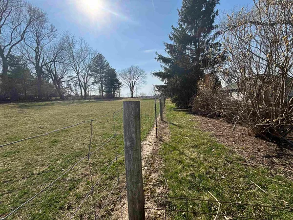 a view of a yard with trees
