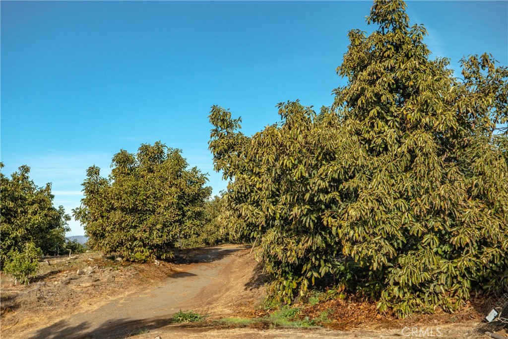 0 Gopher Canyon Road Vista, CA 92084 - Photo 14 of 33 a view of a yard