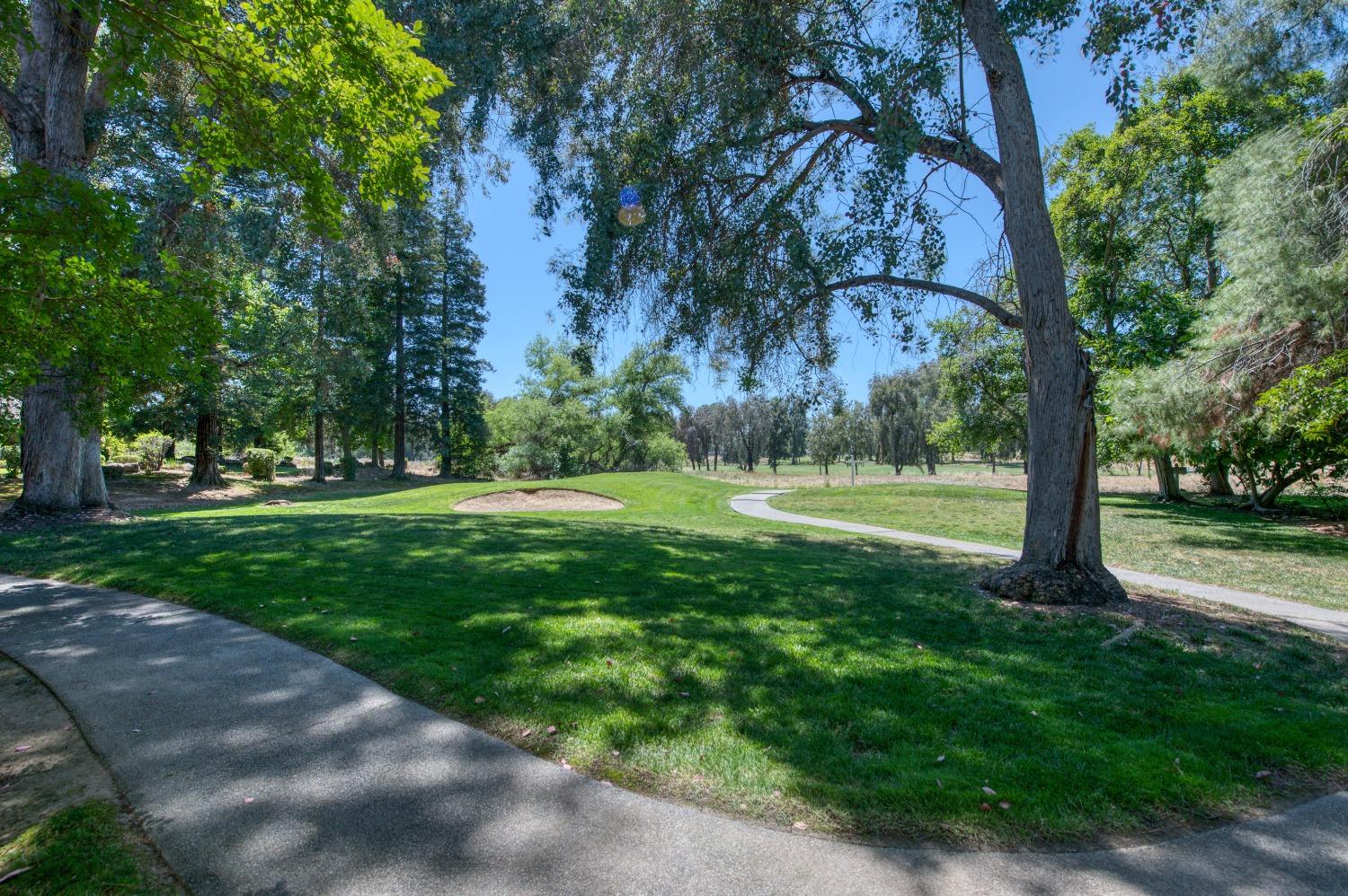19408 Farallon Road Madera, CA 93638 - Photo 2 of 62 a view of a park with tree s