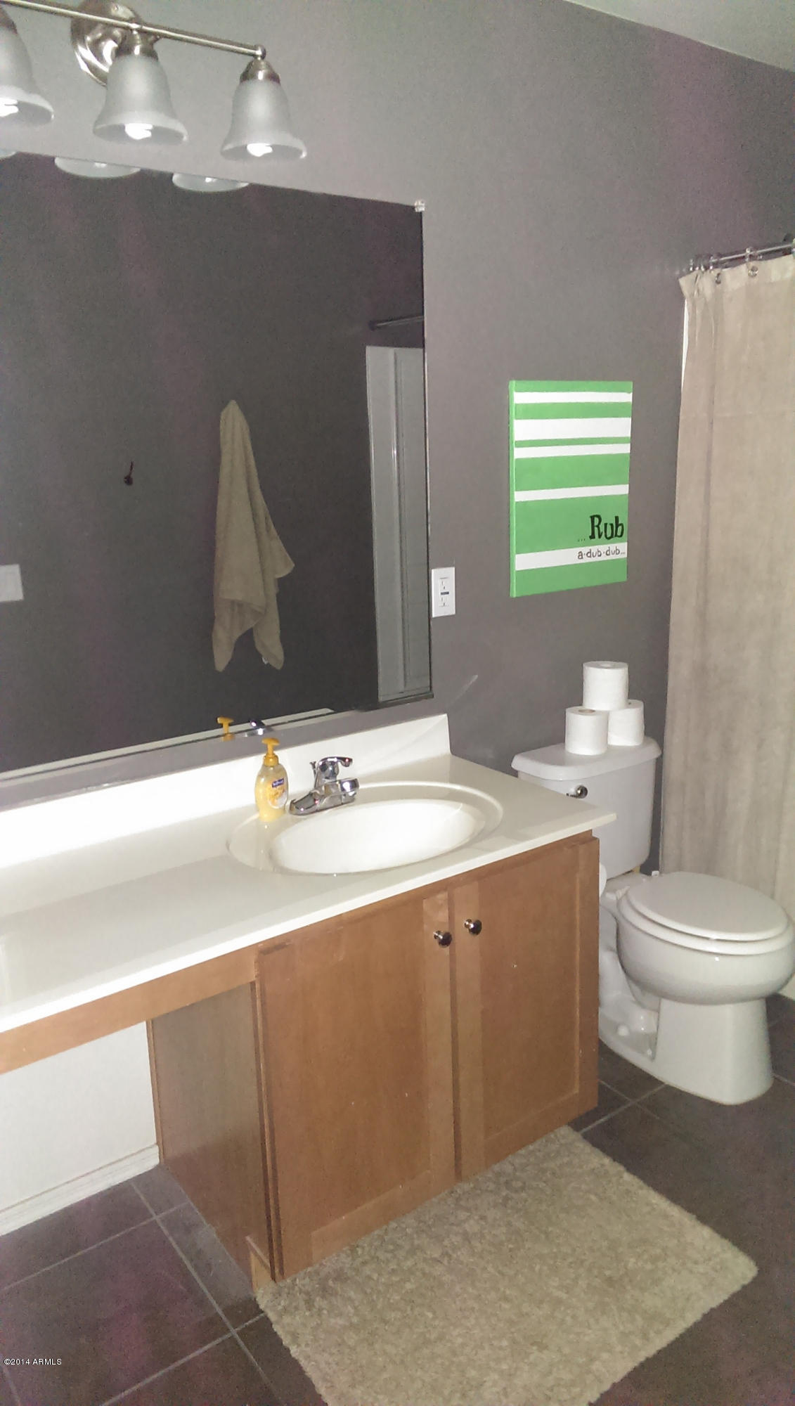 3517 East Harwell Road Gilbert, AZ 85234 - Photo 5 of 11 Hall bath