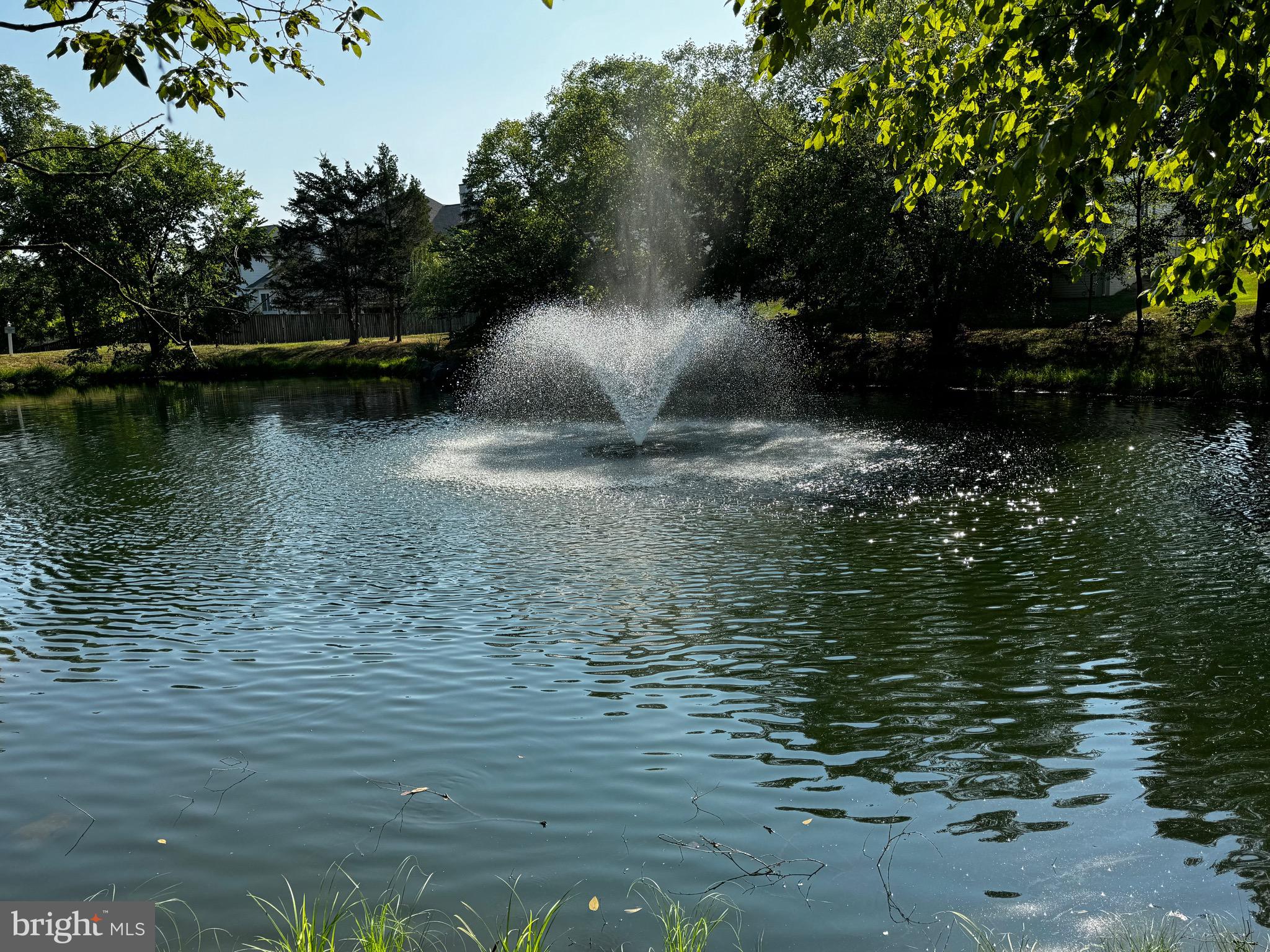 43464 Lucketts Bridge Circle Ashburn, VA 20148 - Photo 77 of 82