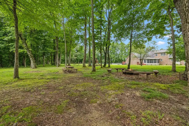 a view of a park with trees and grass