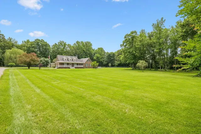 a view of a big yard with plants and large trees