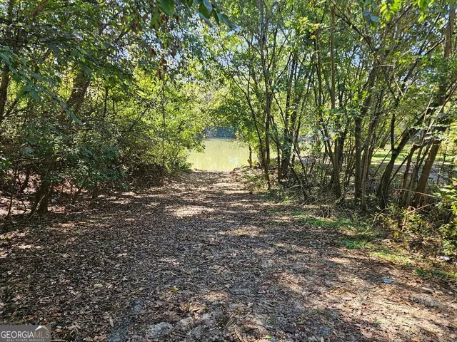 a view of a lake with a mountain in the background