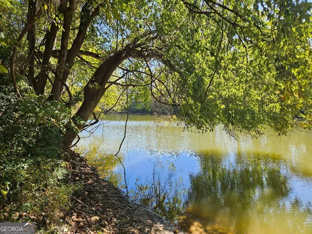 a view of a yard with a trees