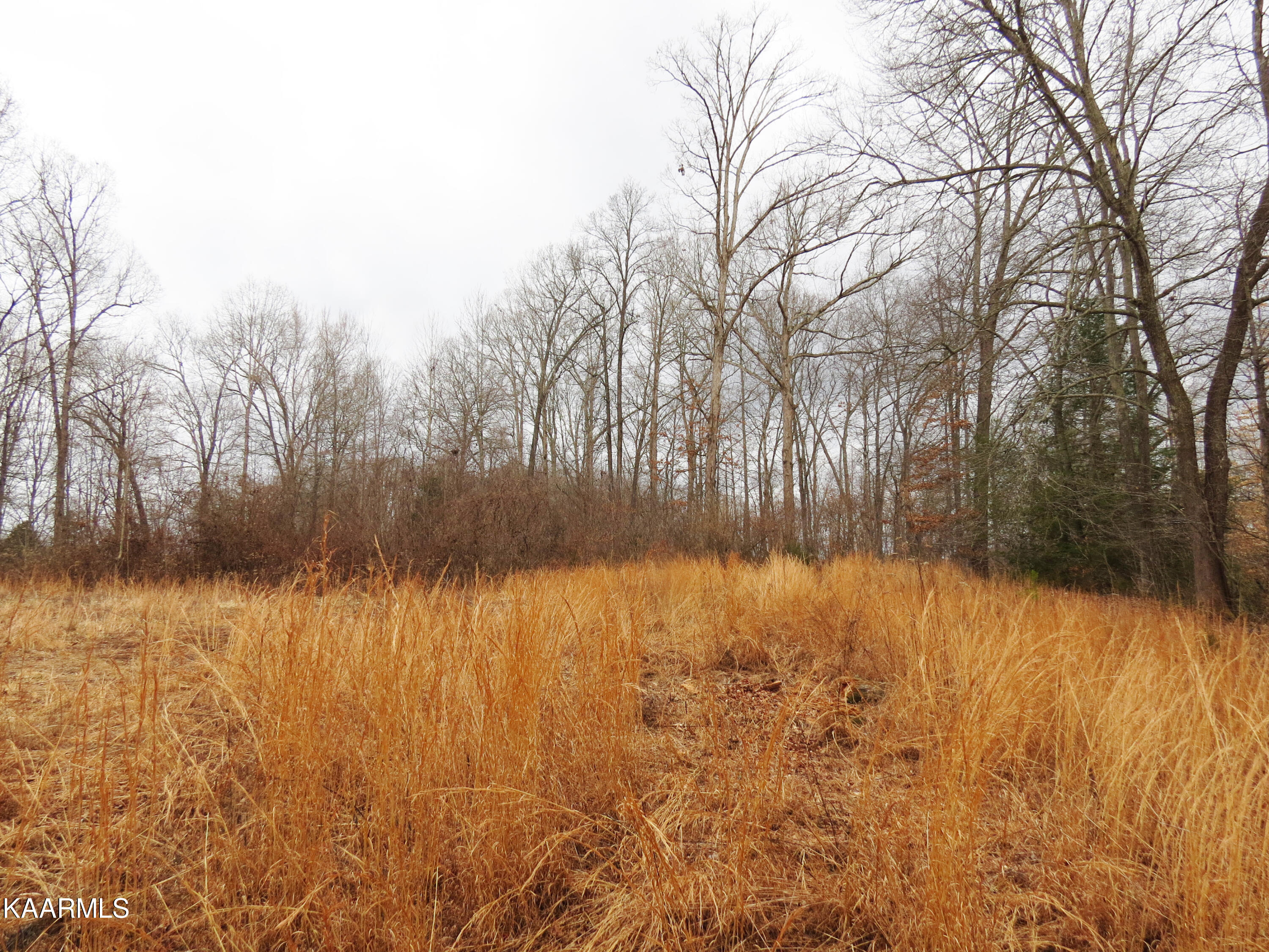 765 South High Knob Road La Follette, TN 37766 - Photo 8 of 9 sh8