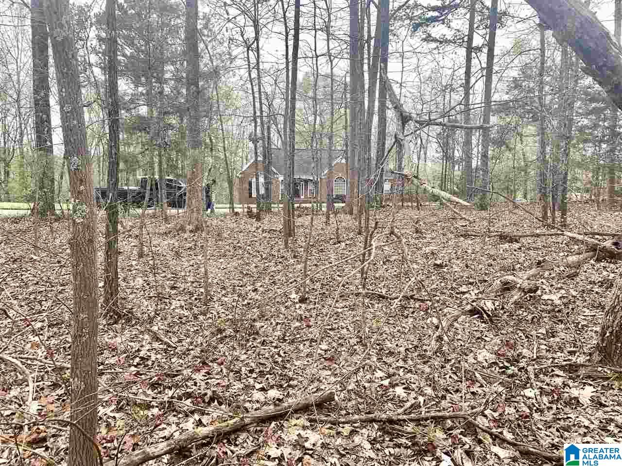 0 Hickory Ridge Road, Unit 40 Ragland, AL 35131 - Photo 6 of 7