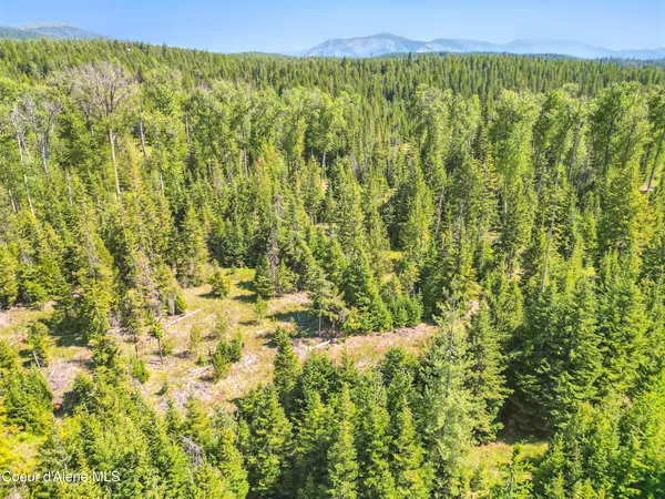 $1,790,000 | 670 Sunset Road, Athol, ID 83801