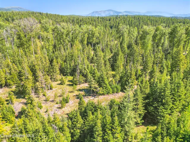 $2,250,000 | 670 Sunset Road, Athol, ID 83801