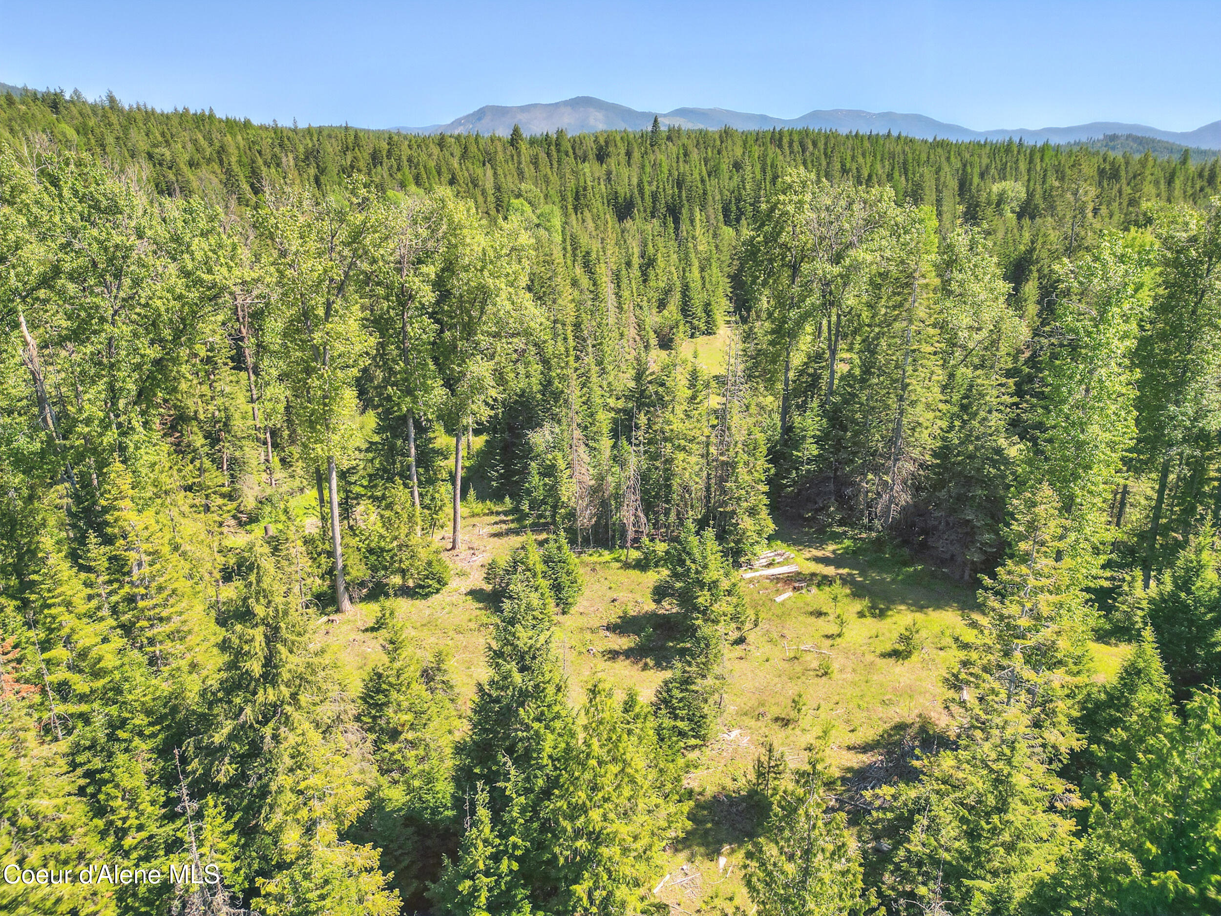 670 Sunset Road Athol, ID 83801 - Photo 47 of 52 Photo_017