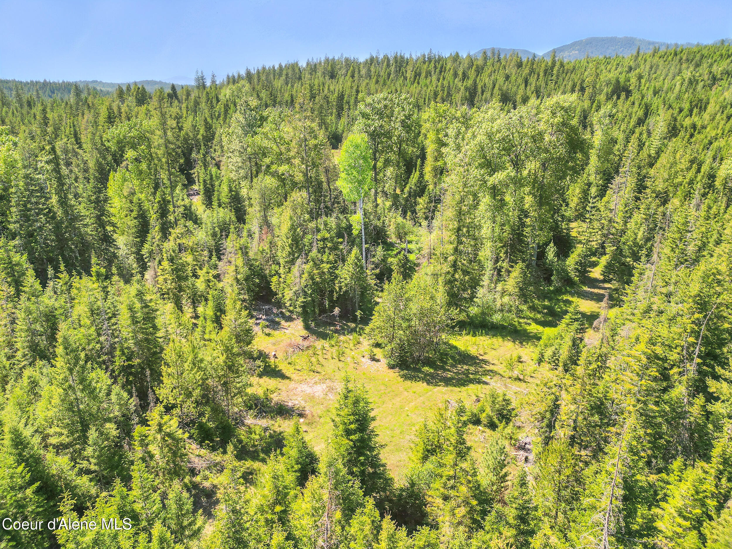 670 Sunset Road Athol, ID 83801 - Photo 49 of 52 Photo_020 (1)