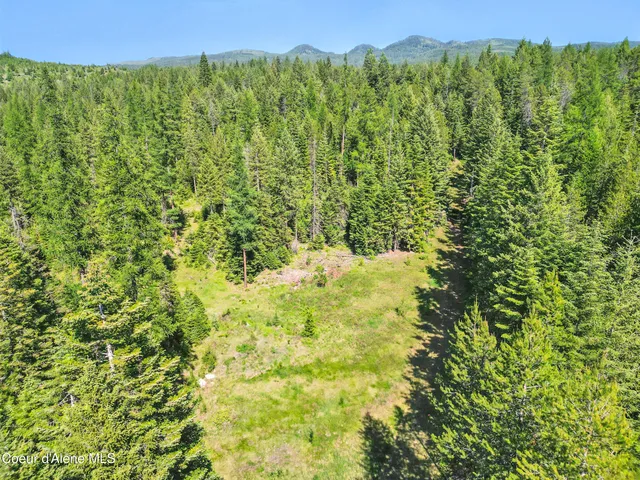 $2,250,000 | 670 Sunset Road, Athol, ID 83801