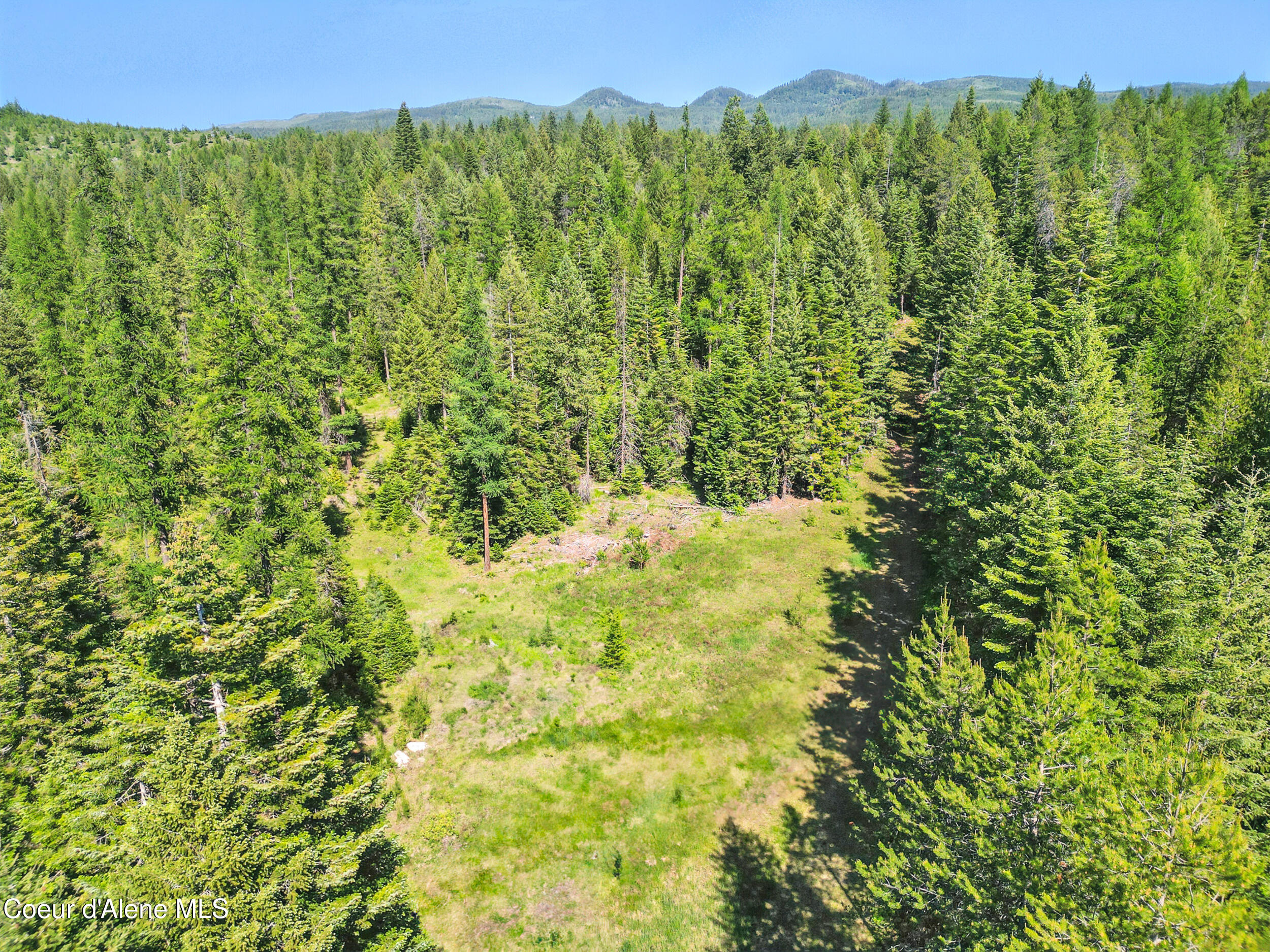 670 Sunset Road Athol, ID 83801 - Photo 52 of 52 Photo_025 (1)