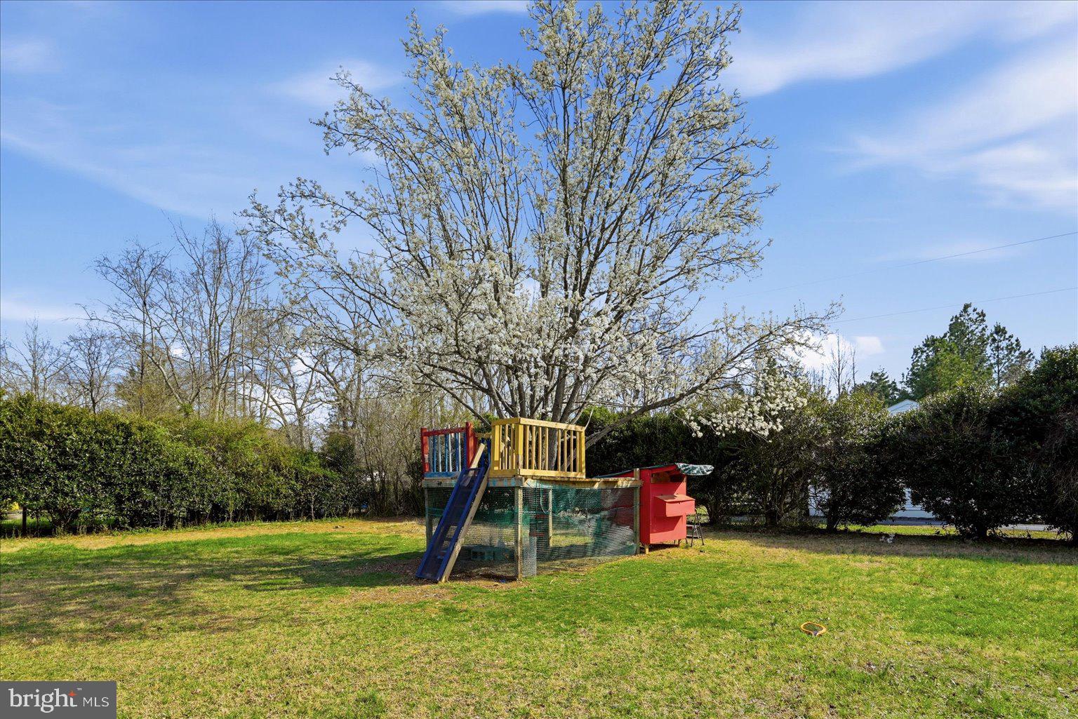 8513 Pamunkey Road Spotsylvania, VA 22551 - Photo 11 of 15 a view of a park with slide