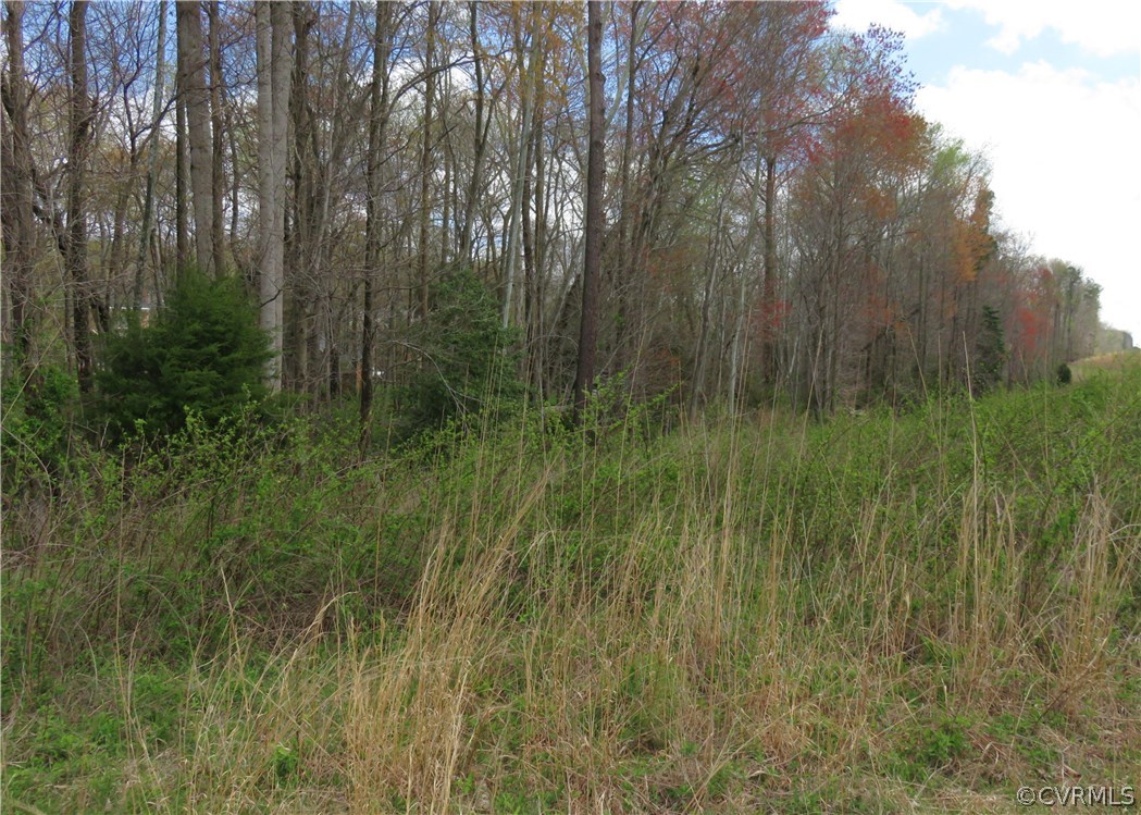 8507 Katy Reid Road Chesterfield, VA 23832 - Photo 48 of 50 Gallery Image 48