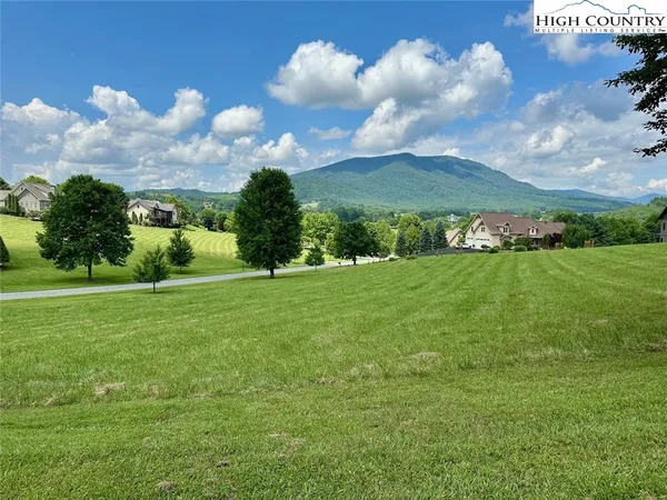 a view of a big yard with potted plants and large trees