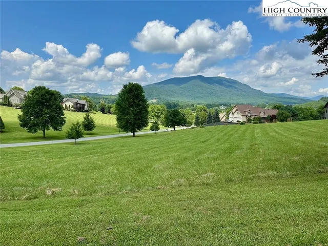 a view of a big yard with potted plants and large trees