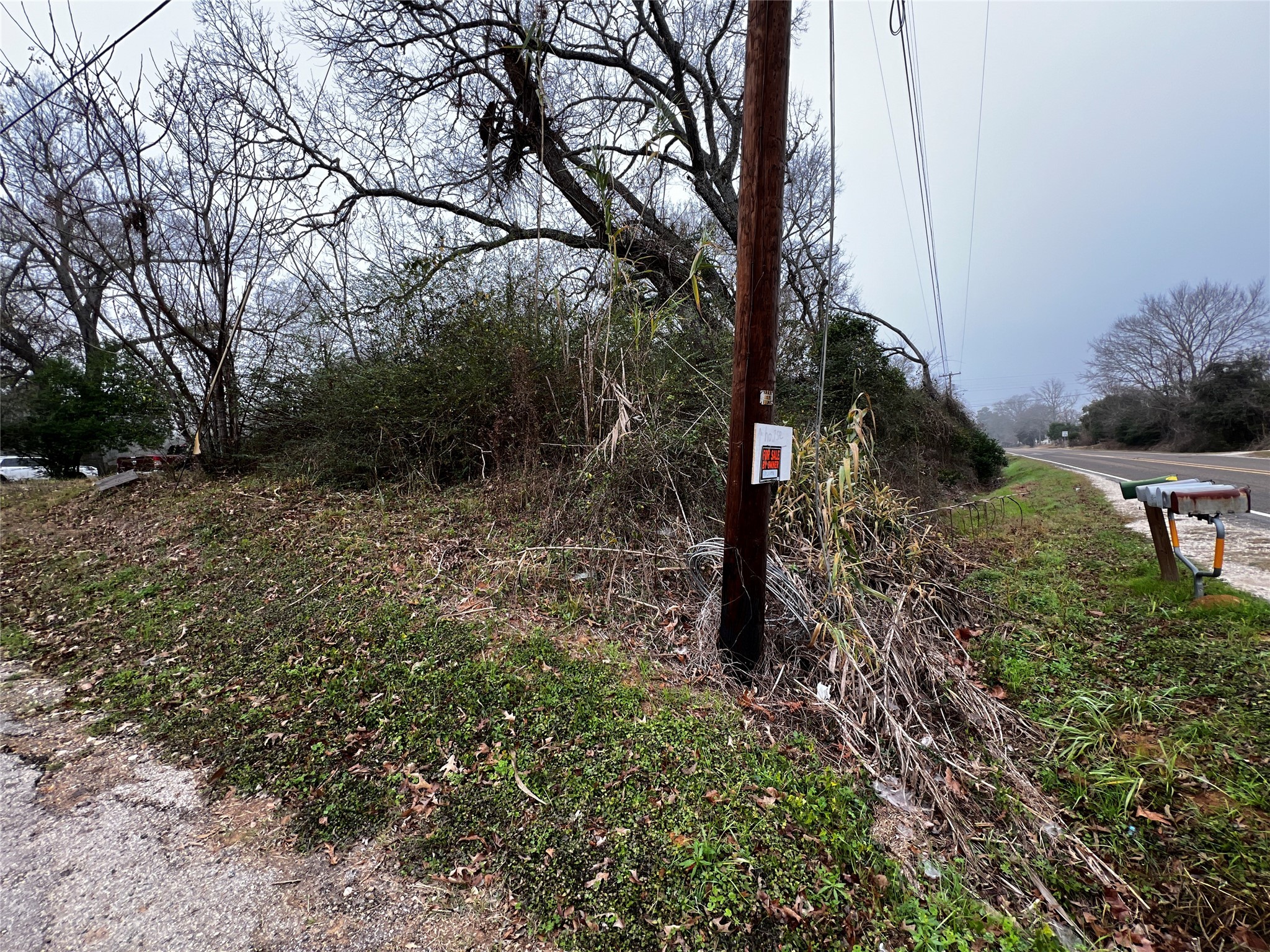 129 John Street Centerville, TX 75833 - Photo 15 of 15 a big yard with lots of green space