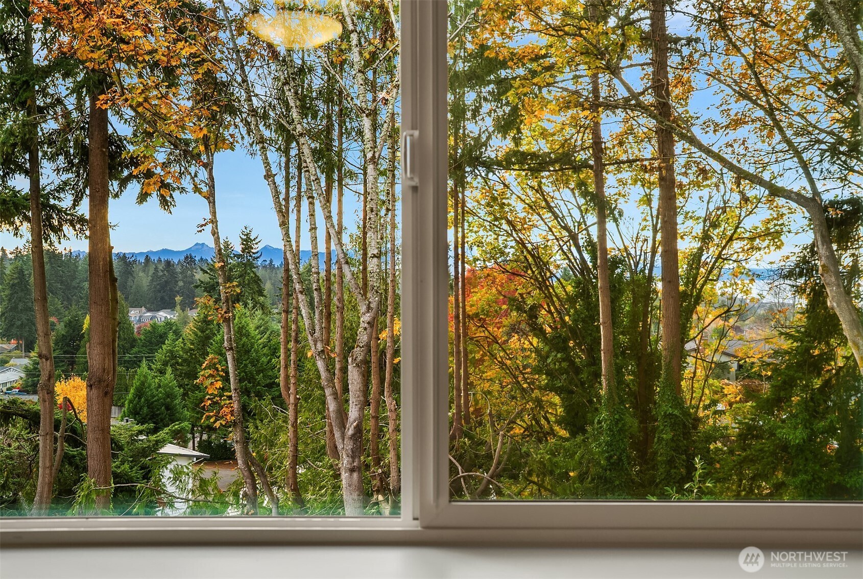 22212 98th Avenue West Edmonds, WA 98020 - Photo 32 of 39 a view of a yard from a window