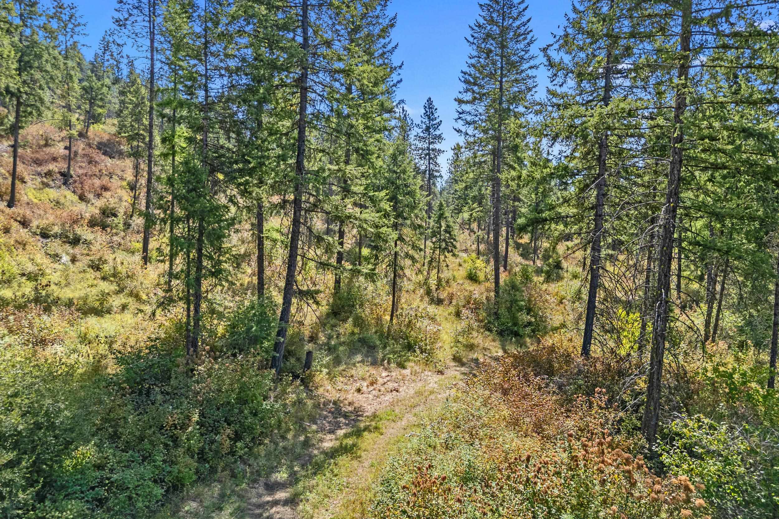 68 X Highland Loop Road Kettle Falls, WA 99141 - Photo 14 of 29