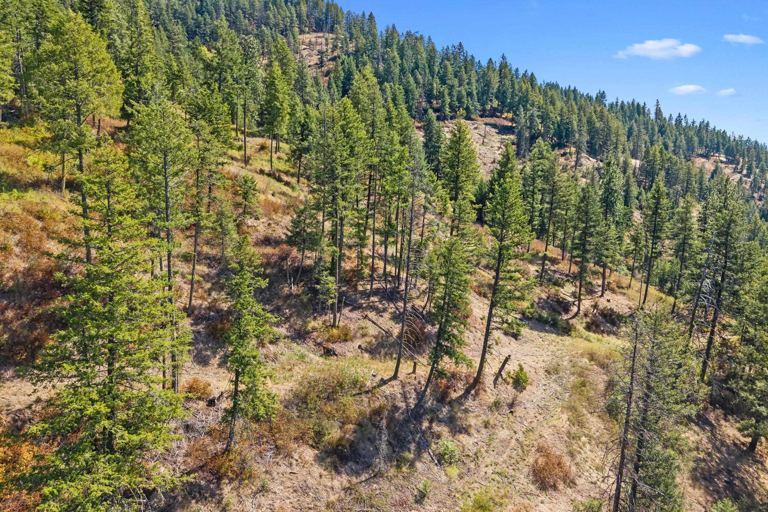 68 X Highland Loop Road Kettle Falls, WA 99141 - Photo 16 of 29