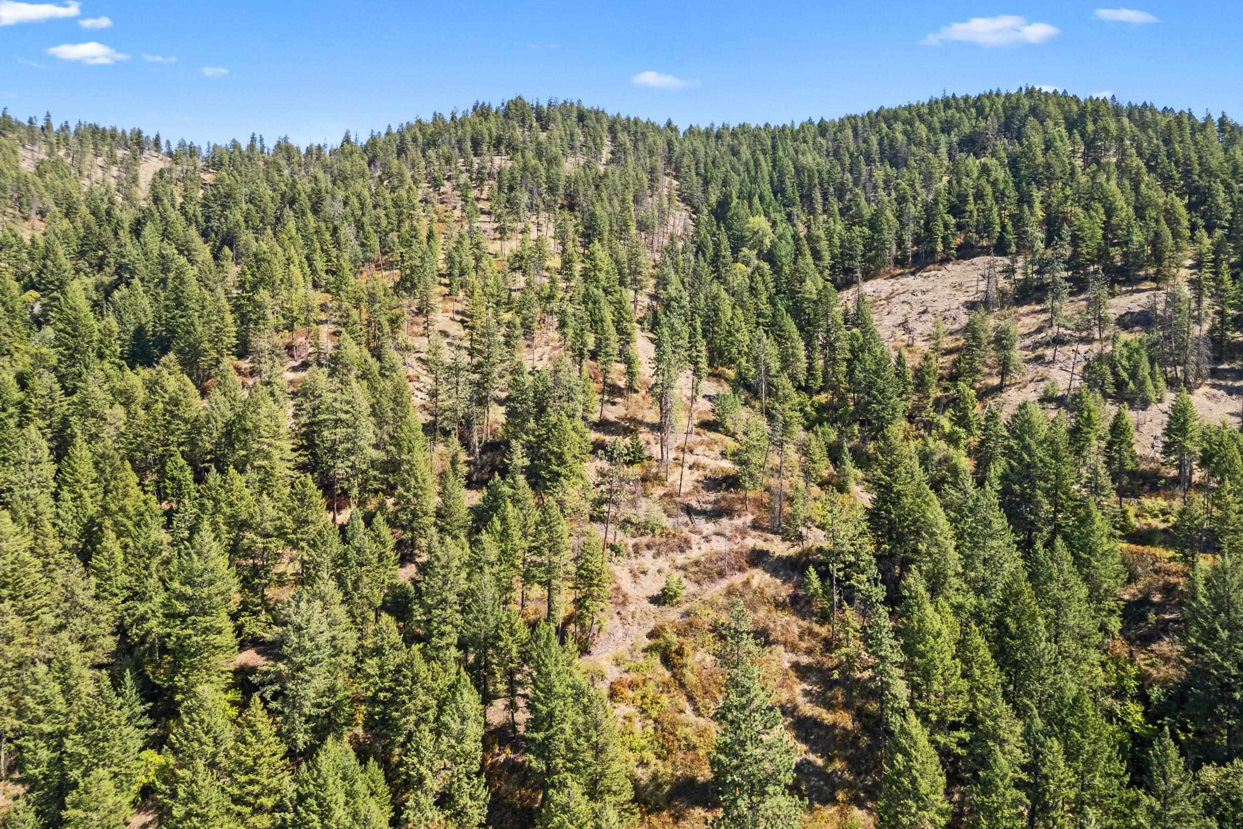 68 X Highland Loop Road Kettle Falls, WA 99141 - Photo 18 of 29