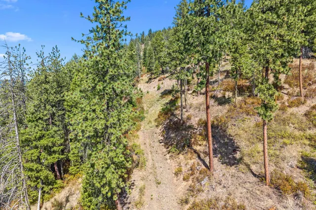 $300,000 | 68 X Highland Loop Road, Kettle Falls, WA 99141