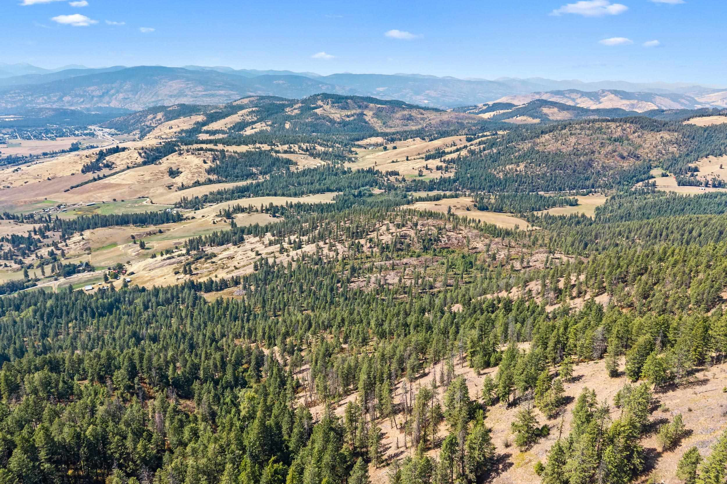 68 X Highland Loop Road Kettle Falls, WA 99141 - Photo 26 of 29