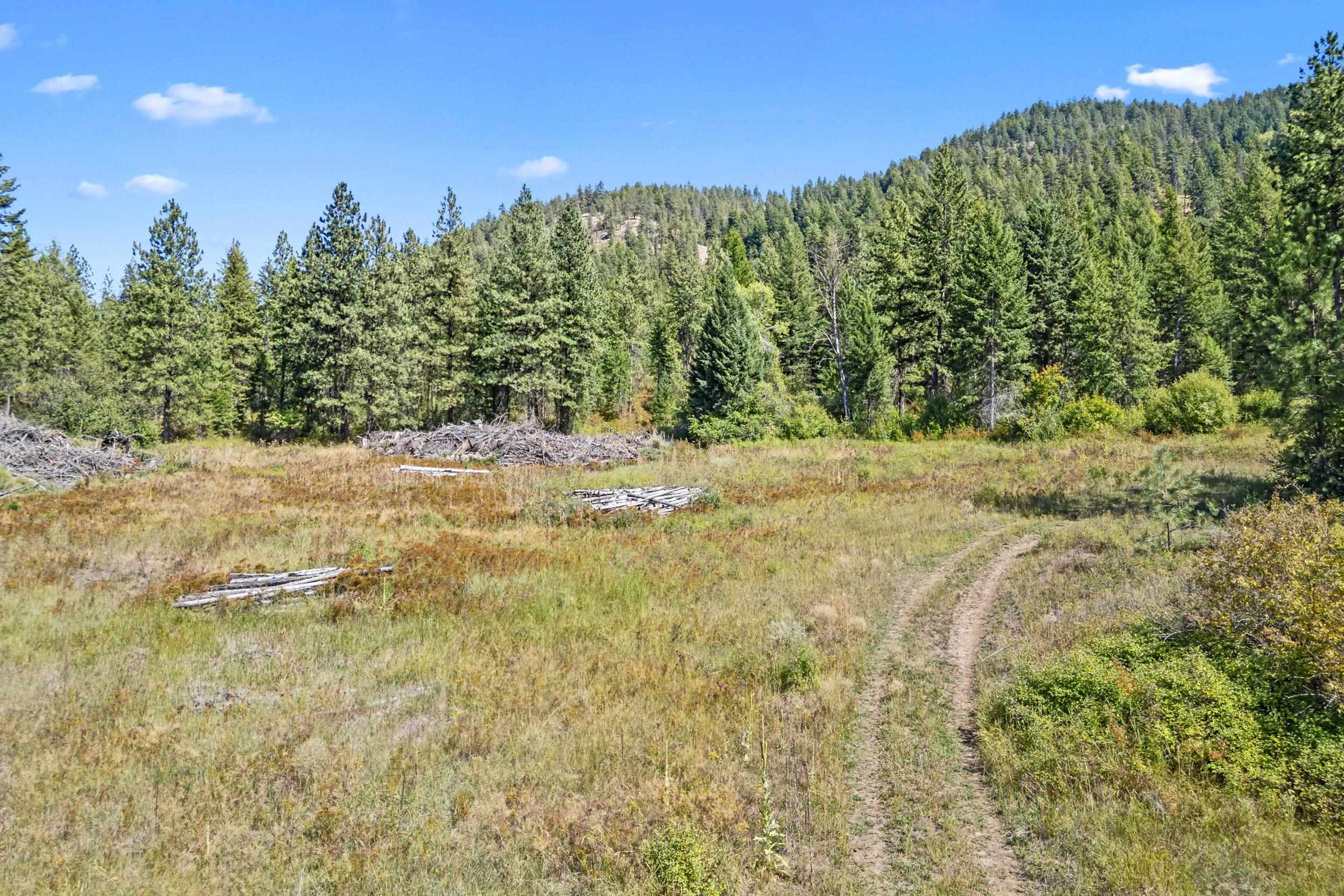 68 X Highland Loop Road Kettle Falls, WA 99141 - Photo 5 of 29