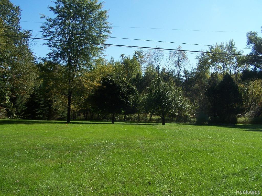 Hibner 10912 005.jpg